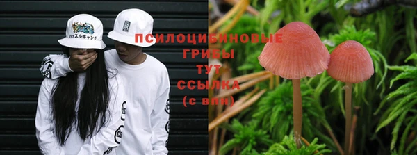 кокс Пестово