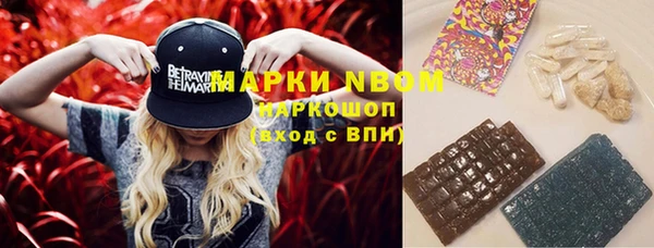 гидра Пересвет