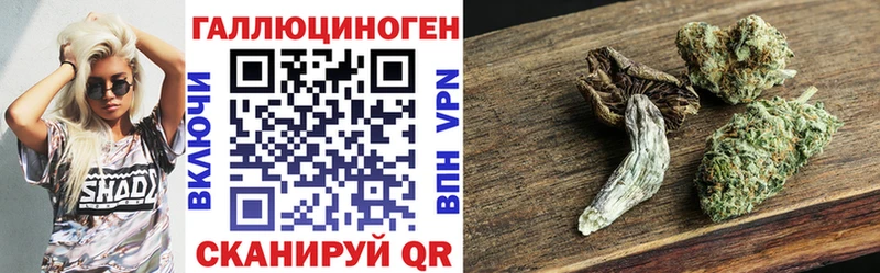 Купить где  Уссурийск  Галлюциногенные грибы Psilocybe 